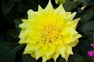 超值优惠，精彩时刻！《战地风云2042》全新赛季带来刺激体验！